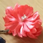 さくらひめの画像