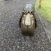 ナナの画像