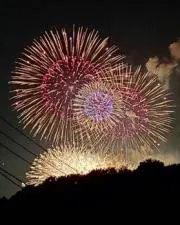 mayの画像