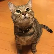 みき