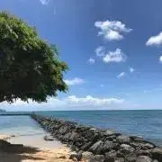 saramoの画像
