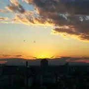 やまも