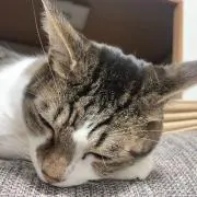 さとぽの画像