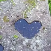 みー　（プロフ必読）