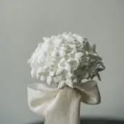 Nonの画像