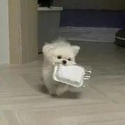 ♡の画像