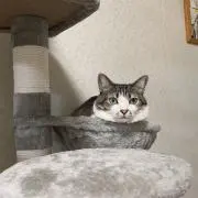 sawaプロフ必読‼️