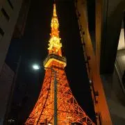 ノヴァンブル