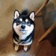 ゆん
