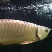 ドラム缶