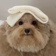 かんかん