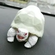 もき