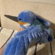 カワセミ