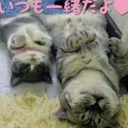 あやこ