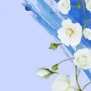 こ、即購入可能、プロフ必読の画像