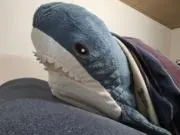 あめりかんどっくの画像