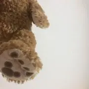 みみみの画像
