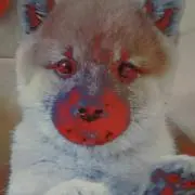 春一番