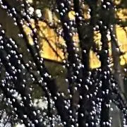 mの画像