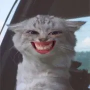ろぺの画像