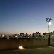 はるの画像