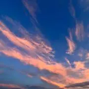 きのこの画像