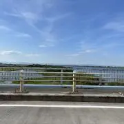 清水
