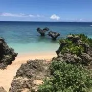 THOAMの画像