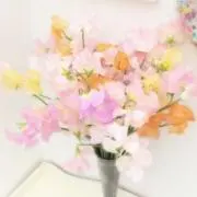 Kikiちょりん♡の画像