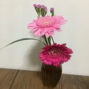 すずの画像