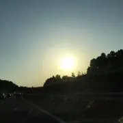 たかの画像