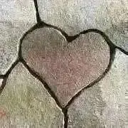 ariyaの画像
