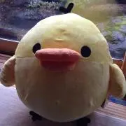 daiTの画像