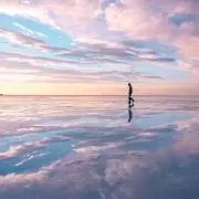 Rooの画像