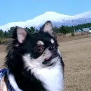 せいいち