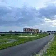 サボテン