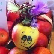 りんごの画像