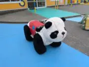 さめちゃん平日発送簡易包装の画像
