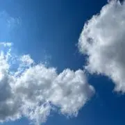 のんこ