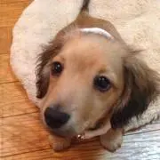 ちゃん