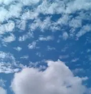 フラミンゴの画像