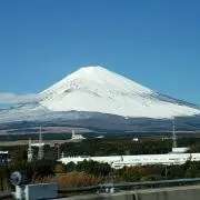 シフォン♡の画像