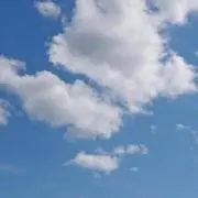 なるの画像