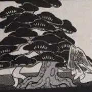南瓜の画像