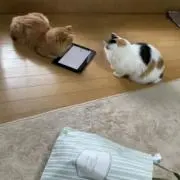 seiichiの画像