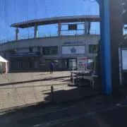 ぎだ