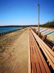 mimi-cloの画像