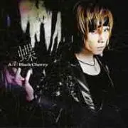 Ryou Shimizu