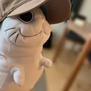 ぽむ・プロフ必読の画像