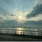 麦の画像